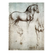 Étude de cheval carte postale