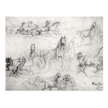 Étude des chevaux cartes postales