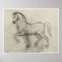 Étude d'un cheval, Leonardo da Vinci Posters