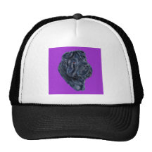 Étude noire chinoise de tête de Shar Pei Casquettes