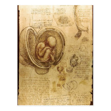 Études de description des embryons Leonardo da Vin Cartes Postales