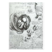 Études des embryons cartes postales