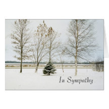 evergreen1card neigeux, dans la sympathie cartes