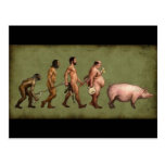 Évolution changée cartes postales