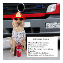 Exercice contre l'incendie personnalisable posters