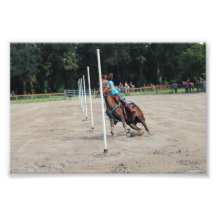 Exposition de jeu de Sandspur - 8 septembre 2012 # Photo