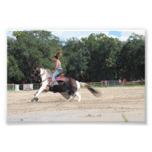 Exposition de jeu de Sandspur - 8 septembre 2012 # Photo