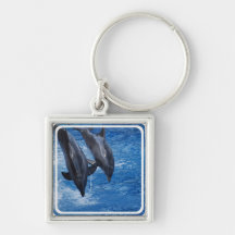 Exposition Keychain de dauphin Porte-clefs