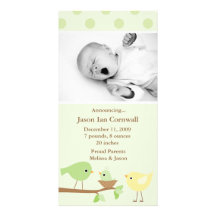 Faire-part de naissance vert d'oiseaux photocartes