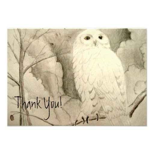 Faire-part mignon de Merci de hibou