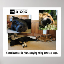 Faire une sieste posters