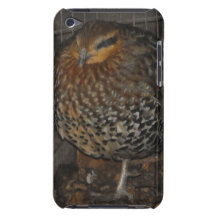 Faisan en bambou coque Case-Mate iPod touch