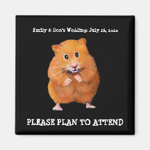FAITES GAGNER LA DATE : HAMSTER SUR LE NOIR : AIMA