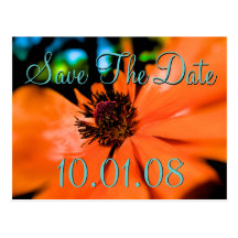 Faites gagner la date - pavots cartes postales