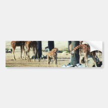 Famille de girafe autocollant pour voiture