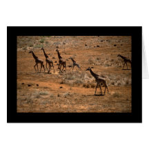 Famille de girafe carte de vœux