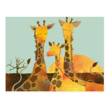 Famille de girafe carte postale