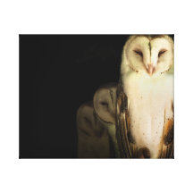 Famille de hibou toiles tendues