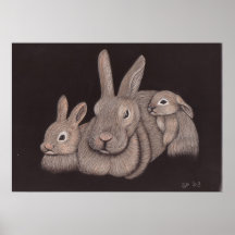 Famille de lapin poster