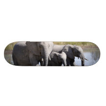 Famille d'éléphant planche à roulette