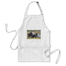 Famille d'éléphant tabliers