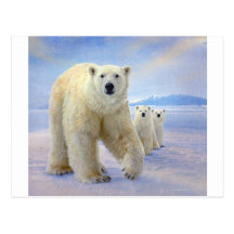 famille d'ours blanc sur la glace cartes postales