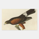 Faucon de la Louisiane Autocollant En Rectangle