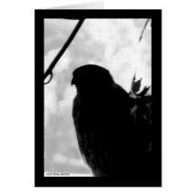 Faucon d'ombre carte
