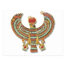 Faucon pectoral carte postale