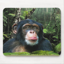 Faune-appui Mousepad de chimpanzé et de forêt trop Tapis De Souris