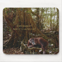 Faune-appui Mousepad d'orangs-outans et de forêt t Tapis De Souris