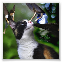 Fées avec la copie de citation de William Shakespe Photographie