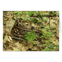 Félicitations de faon de cerfs communs carte de vœux