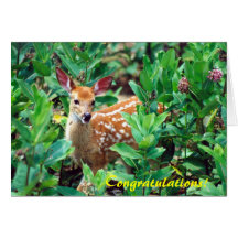 Félicitations de faon de cerfs communs cartes de vœux