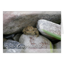 Félicitations de grenouille d'étang cartes de vœux