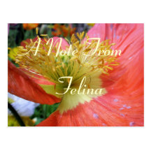 Felina Cartes Postales