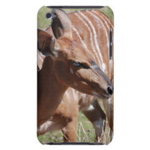 Female Nyala iPod Case-Mate Cases