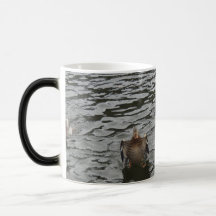 Femelle de canard de Mallard Mug