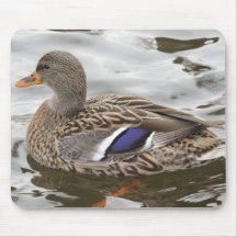 Femelle de canard de Mallard Tapis De Souris