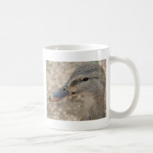 Femelle de canard de Mallard Tasse À Café