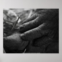Femelle "de mains douces" d'affiche -…