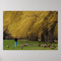 Femme d'oie avec des saules posters