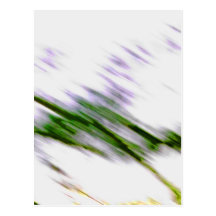 Fenêtre à défilement continu .png cartes postales
