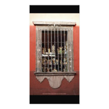 Fenêtre San Miguel de Allende Mexique d'ange Cartes De Vœux Avec Photo