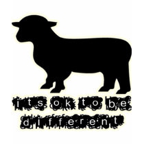 ferme correcte de moutons noirs