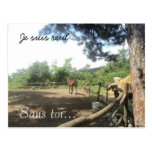 Ferme de cheval dans les bois cartes postales