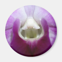 fermé de la fleur d'orchidée magnets pour réfrigérateur