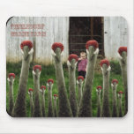 Fermes de Fizzledorf Tapis De Souris