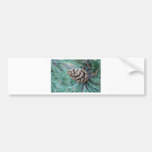 Fermez-vous de Pinecone Autocollants Pour Voiture