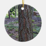 Fermez-vous du tronc d'arbre dans la forêt décorations pour sapins de noël